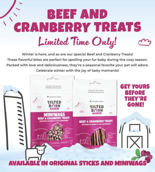 Beef and Cranberry Treats For Dogs 100g/3.53oz