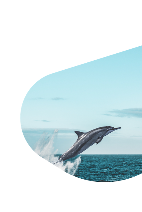 Peluche Fahlo La Odisea - Delfín