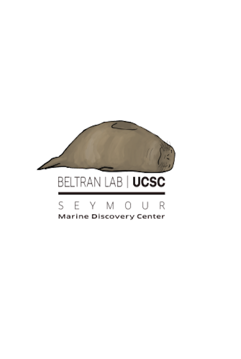 FAHLO THE GLIDE SEAL TRACKING BRACELET - SKY STONE