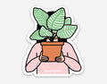 Girl with Plant - 3" vinyl sticker