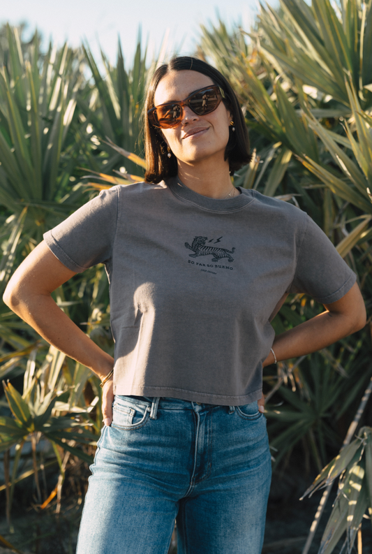 Casa Costera So Far So Bueno women's organic cotton crop tee in Grey