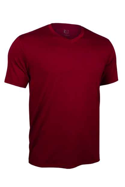 T-SHIRT COL EN V PREMIUM 2UNDR