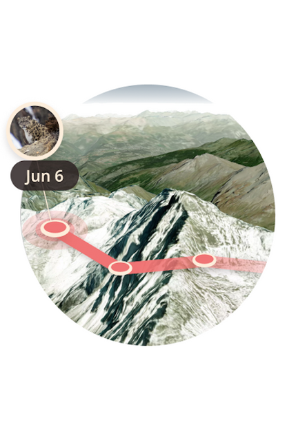 Fahlo The Ascent Snow Leopard Tracking Bracelet - Papillae Stone