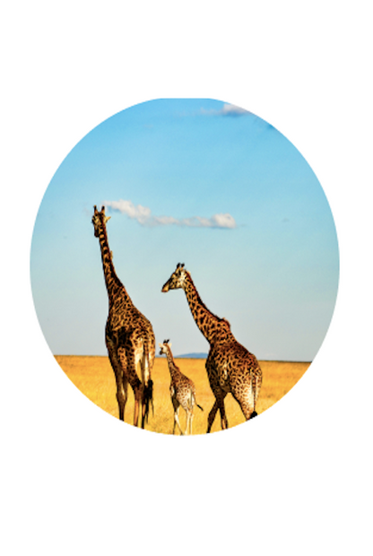 BRACELET DE SUIVI DE LA GIRAFE FAHLO THE TREK - KEYSTONE