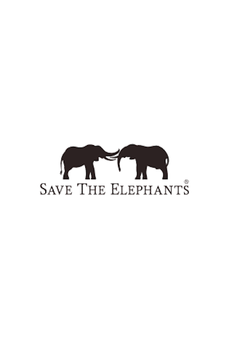 Fahlo The Expedition Elephant Tracking Bracelet - Sky Stone