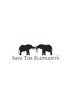 Fahlo The Expedition Elephant Tracking Bracelet - Sky Stone