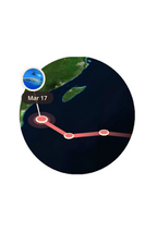 BRACELET DE PISTE DE REQUIN BALEINE FAHLO THE QUEST - PIERRE OCELLI