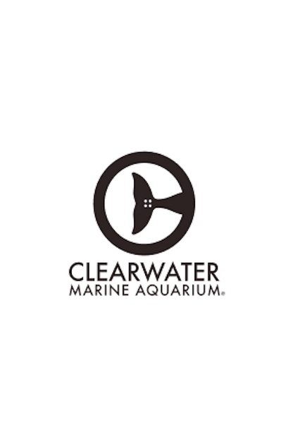 FAHLO THE DRIFT MANATEE TRACKING BRACELET - CORAL REEF VIOLET