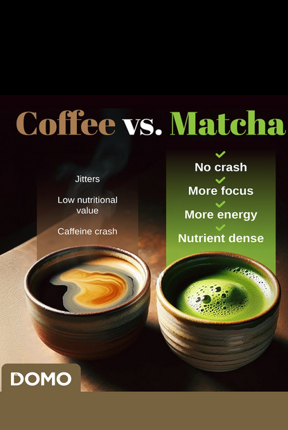 Domo Vanilla Matcha Micro Ground Instant Tea Latte