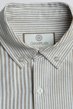 Champlain Stripe Dress Shirt - Brown