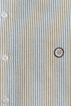 Champlain Stripe Dress Shirt - Brown