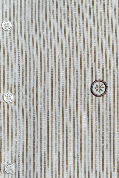 Champlain Stripe Dress Shirt - Brown