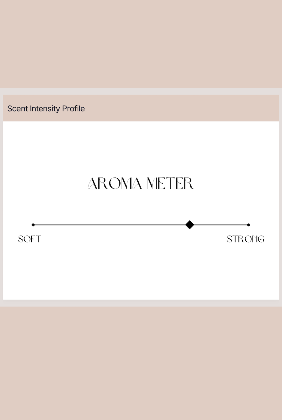 828 Aroma Enchanted Amber & Coconut Solid Perfume