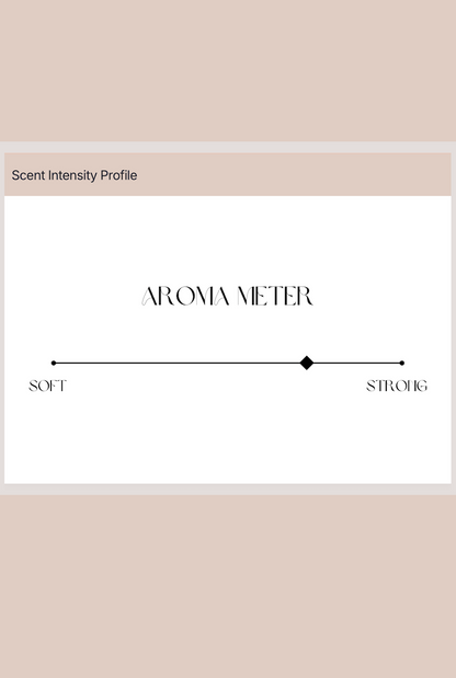 828 Aroma Enchanted Amber & Coconut Solid Perfume