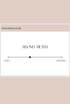 828 Aroma She's So Vanilla Solid Perfume