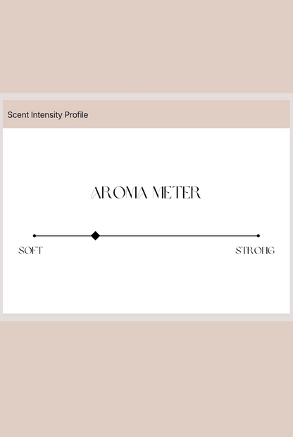 828 Aroma Lady of Love Solid Perfume