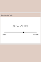828 Aroma Exodus Solid Cologne