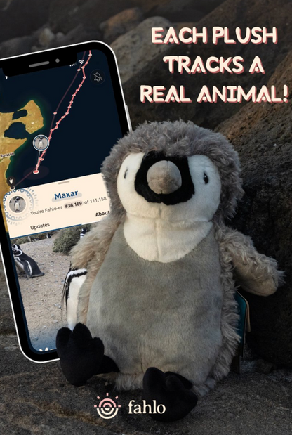Peluche Fahlo The Passage - Pingouin