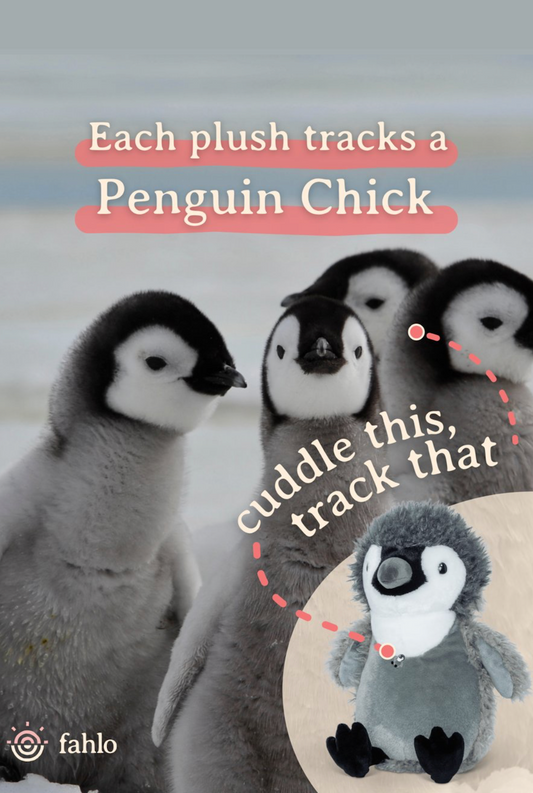 Fahlo The Passage Penguin Chick Tracking Plush
