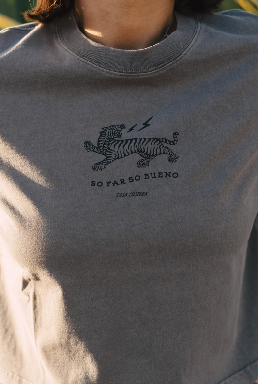 Casa Costera So Far So Bueno Crop Tee – Grey