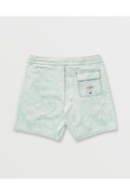 Billabong Every Other Day Lo Tide 18" Boardshorts in Seafoam, back flat view