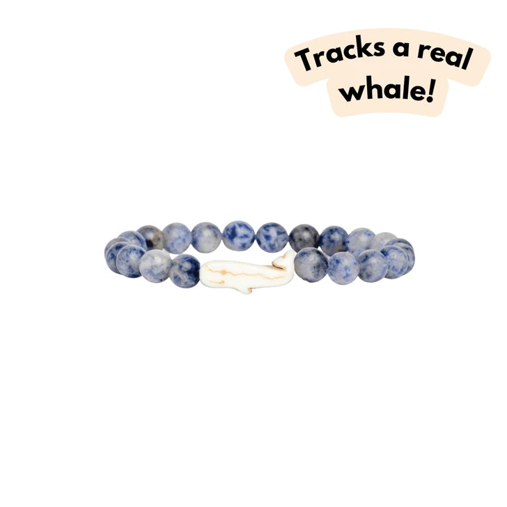 Fahlo The Wayfare whale tracking bracelet in Coastal Blue