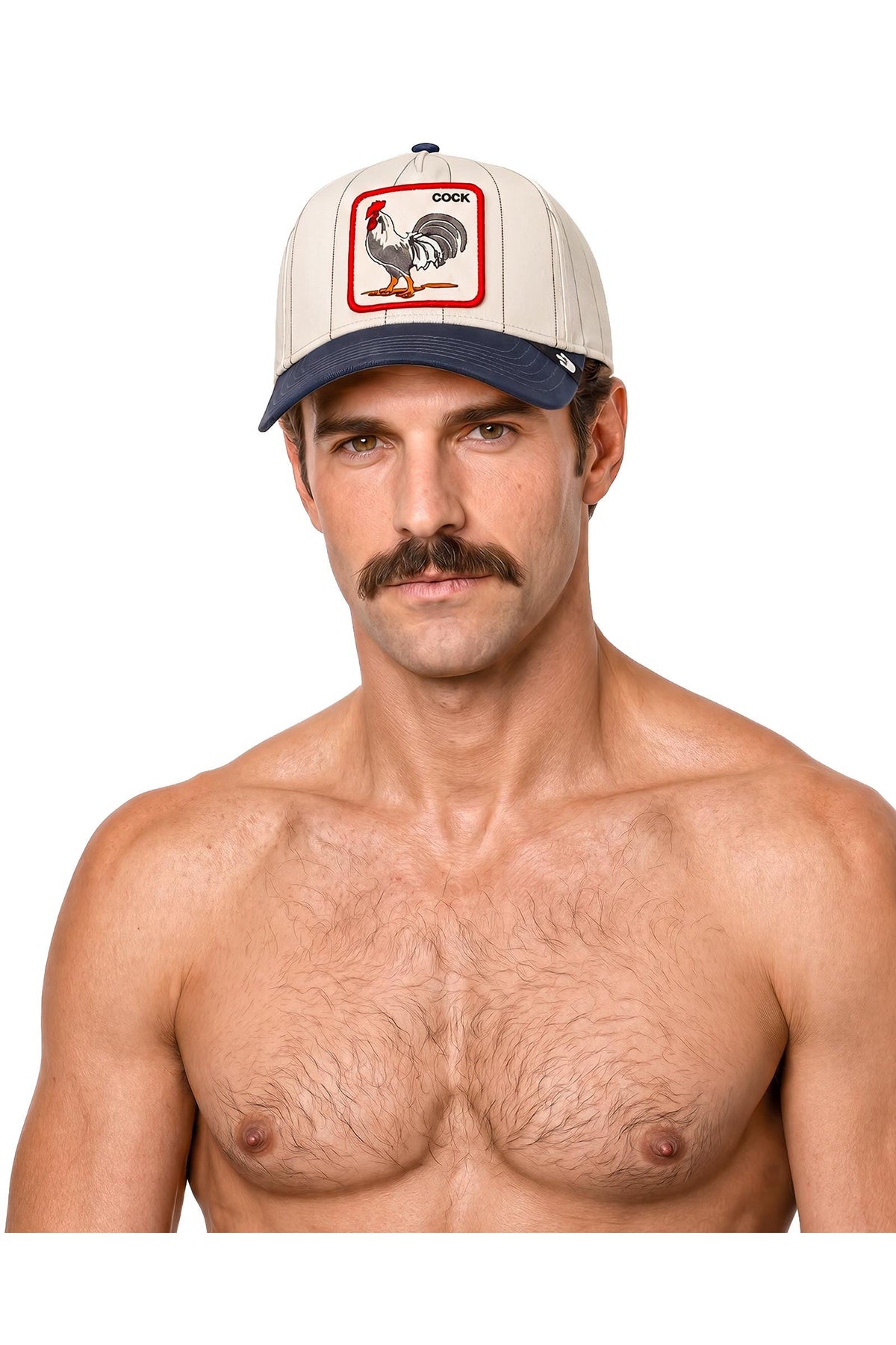 Goorin Bros Pinstripe Rooster trucker cap in Mineral Gray with embroidered COCK rooster patch